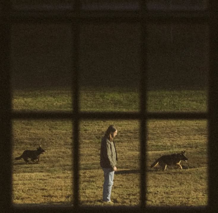 Song Introspection: Downfall by Noah Kahan